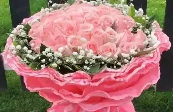 哥哥送玫瑰花有何特殊含义？