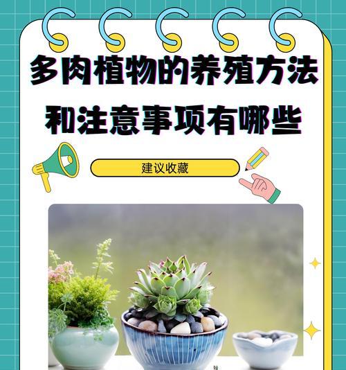细叶植物有哪些种类？它们的养护方法是什么？