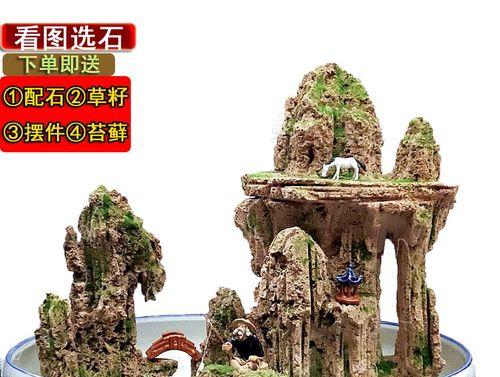 盆栽植物室内盆栽石头怎么摆放？有哪些美观的摆放方式？