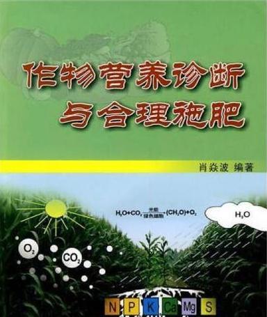 哪些植物营养书籍值得推荐？它们的主要内容是什么？