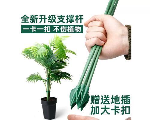 花卉果蔬固定器有何作用？使用花卉果蔬固定器的好处是什么？