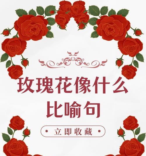 让他给你买玫瑰花代表什么？请求他人购买玫瑰花的深层含义是什么？