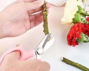 剪玫瑰花的秘诀是什么？如何正确剪裁玫瑰花？