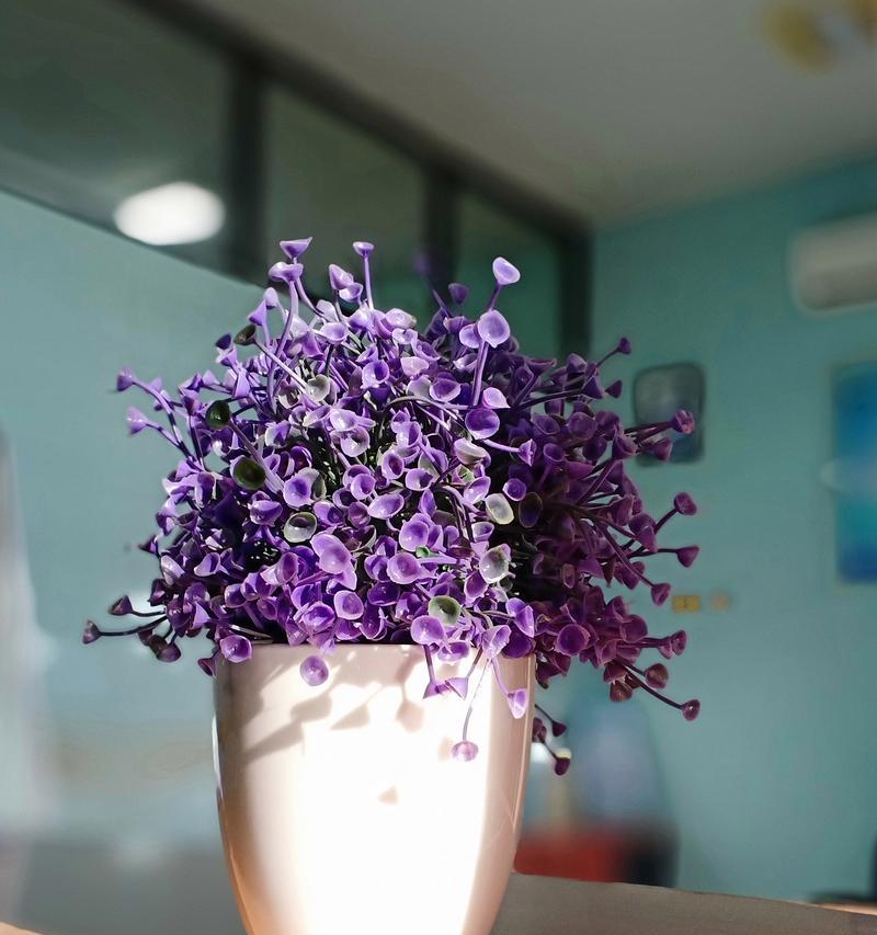 亚乔植物中有哪些花卉品种？它们的特性如何？
