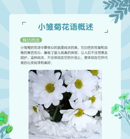 白色花卉通常代表什么？它们的花语有哪些？
