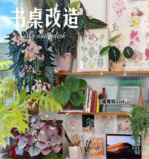 书桌上植物的养护方法是什么？如何确保书桌植物的健康成长？