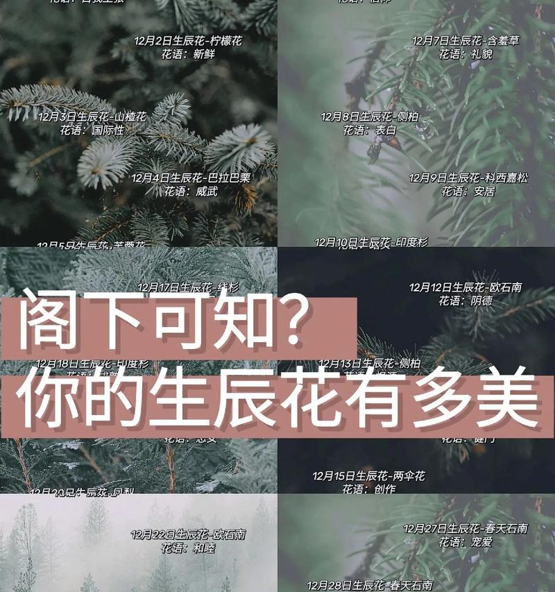 水果鲜花的寓意和花语是什么？水果与鲜花结合的特殊含义是什么？