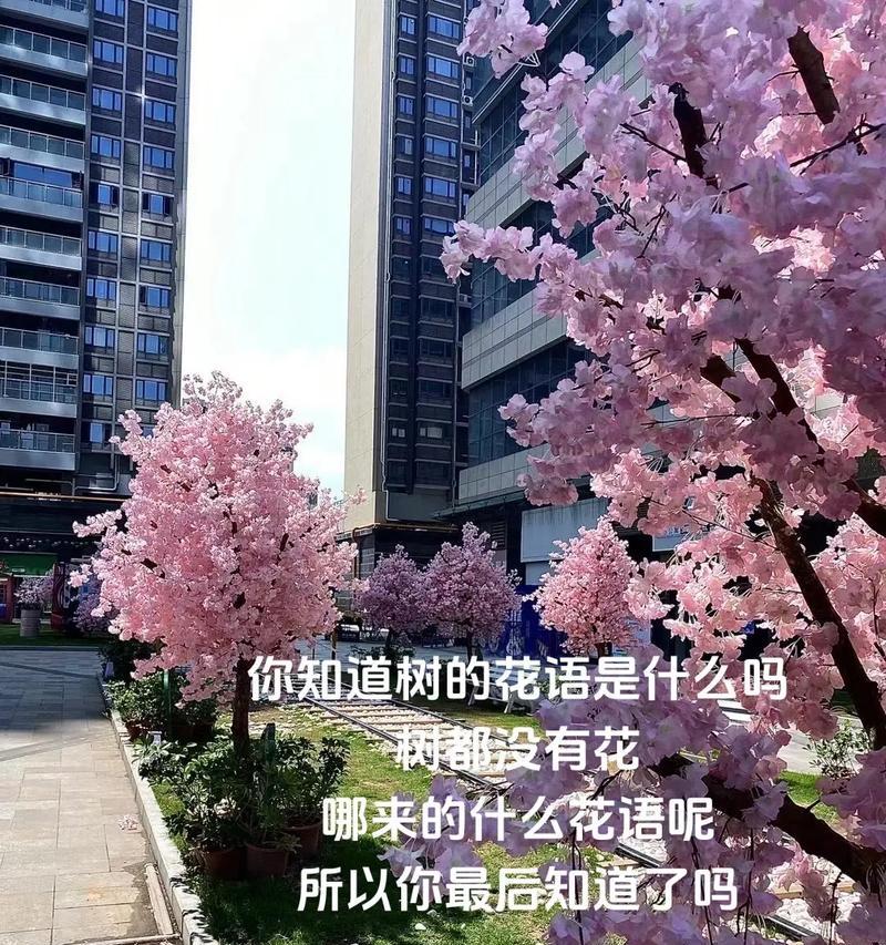 哪种花的花语代表遗憾的爱情？