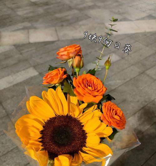 军训的花语是什么？军训有什么特别的花语吗？