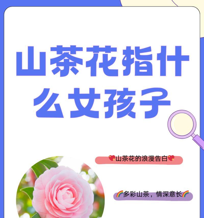 花与花搭配的花语有哪些？如何选择合适的花搭配？