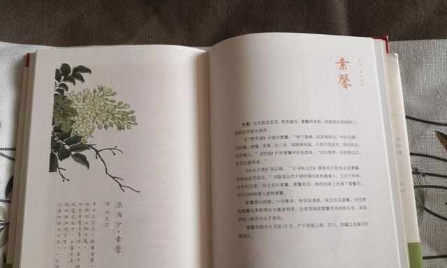 他转头就走的举动像哪种花语？