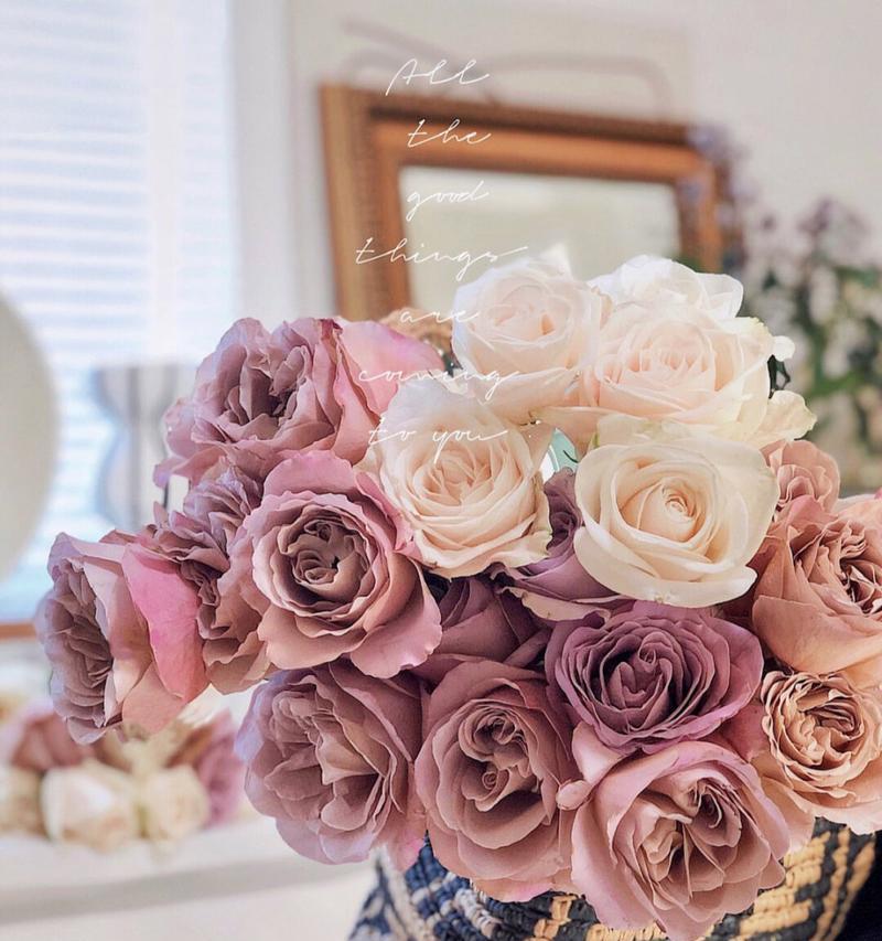 拿铁玫瑰花代表的花语是什么？