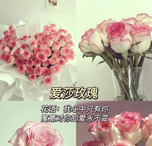 如何通过花语表达爱意？