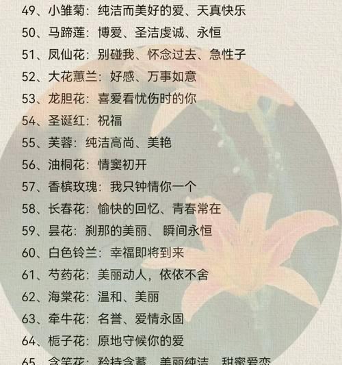水果甜心的花语有何含义？