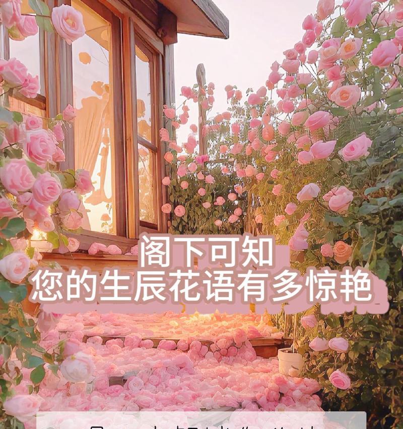 6月2号生日花语是什么？这一天出生的人有什么特别的花语吗？