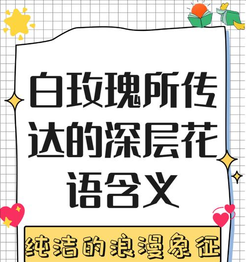 不计较的花语代表了什么？它传递了哪种情感？