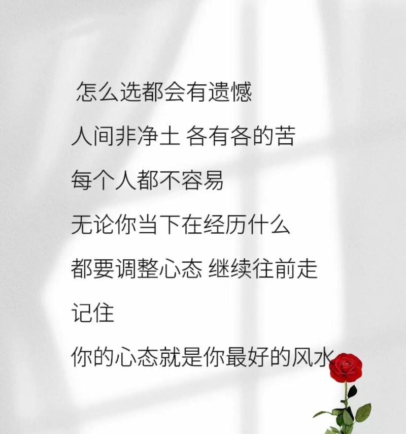 不计较的花语代表了什么？它传递了哪种情感？