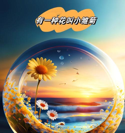碗豆苗的花语和寓意是什么？它在花语中代表了什么？