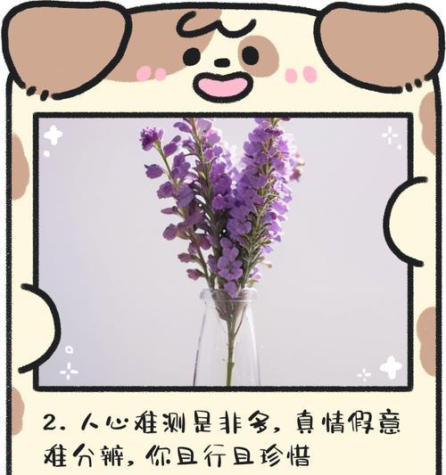 千万点赞的花语代表什么？它有何特殊意义？