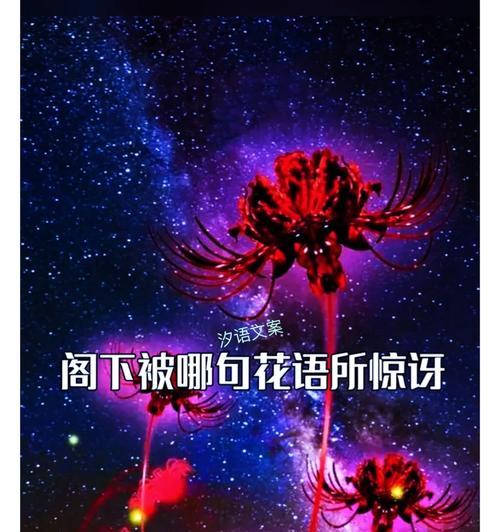 千万点赞的花语代表什么？它有何特殊意义？