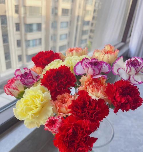 给姐姐磕头花语是什么？哪种花代表尊敬？