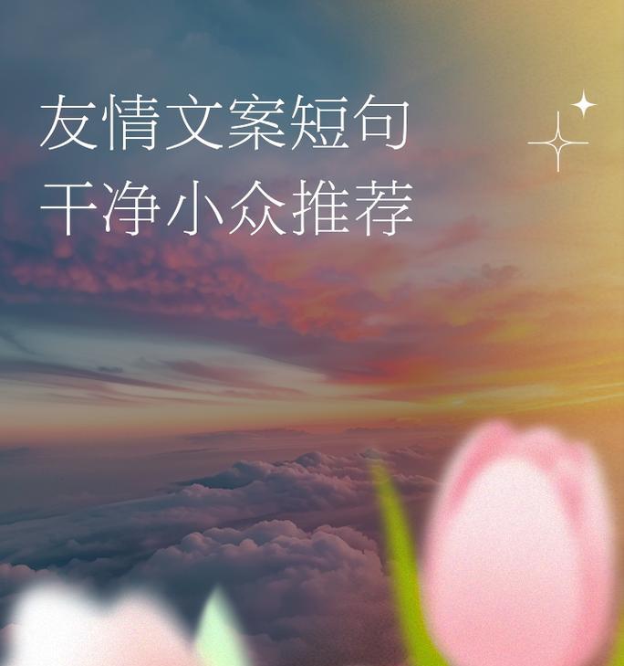 哪些花语小众且代表友情？