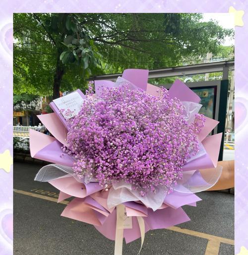 接待朋友时选择哪种花语？