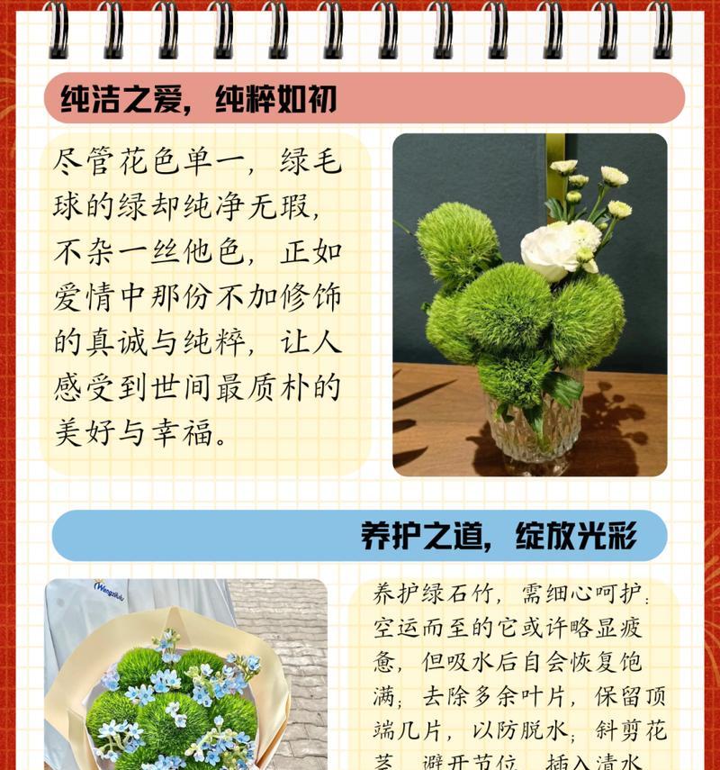 在花语中，什么是最恰当的表达方式？