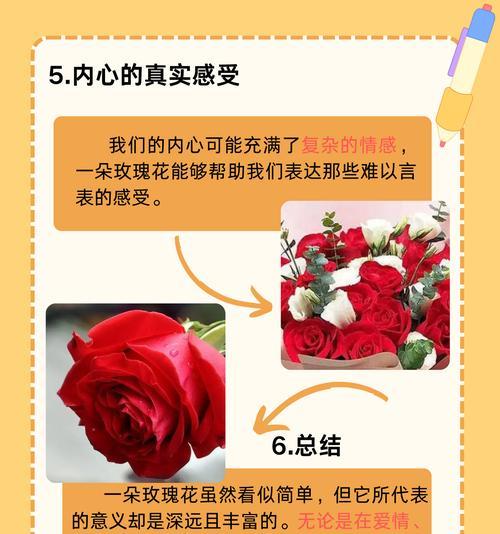 家里四朵玫瑰花代表什么含义？