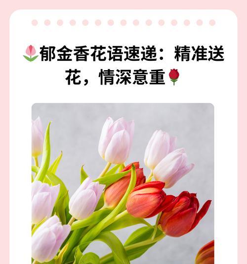 花语能用哪些词汇替代？花语替代词汇有哪些选择？