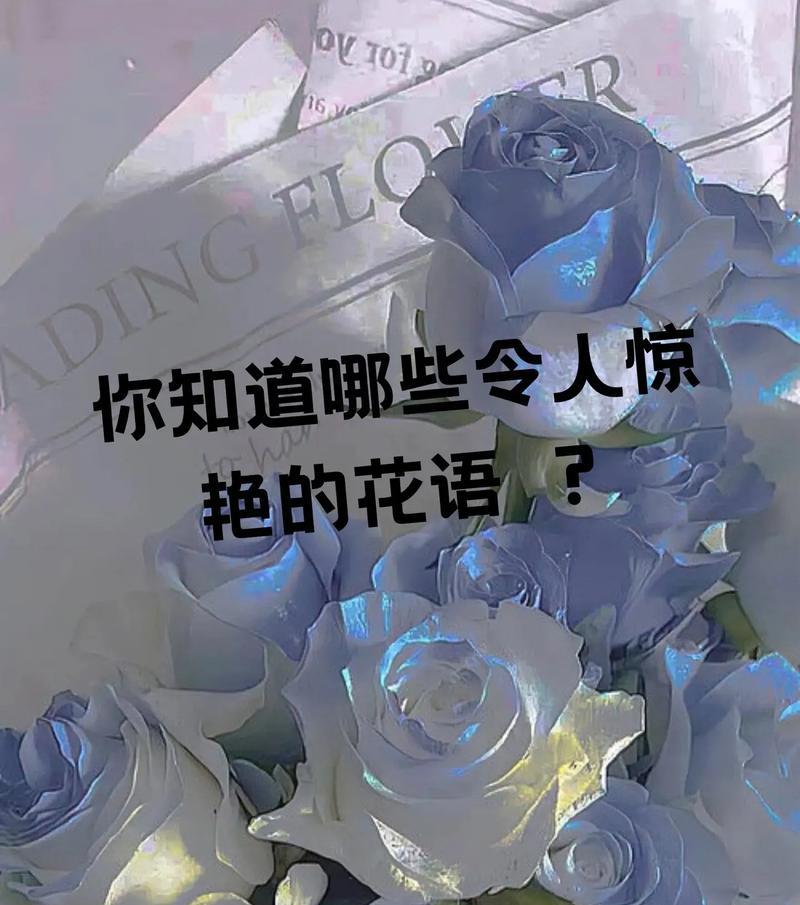 花语能用哪些词汇替代？花语替代词汇有哪些选择？