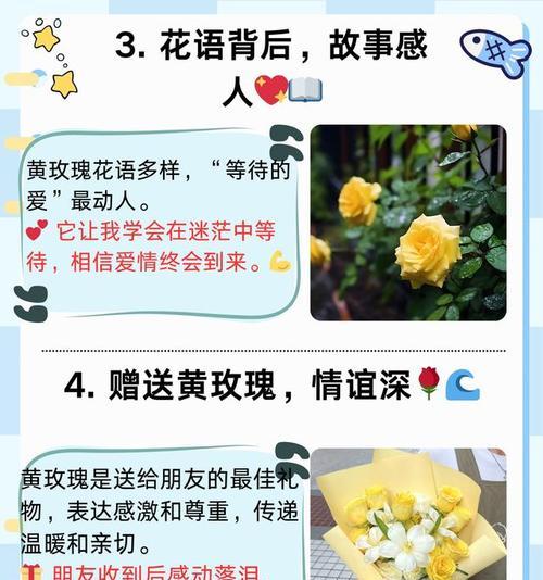 花语能用哪些词汇替代？花语替代词汇有哪些选择？