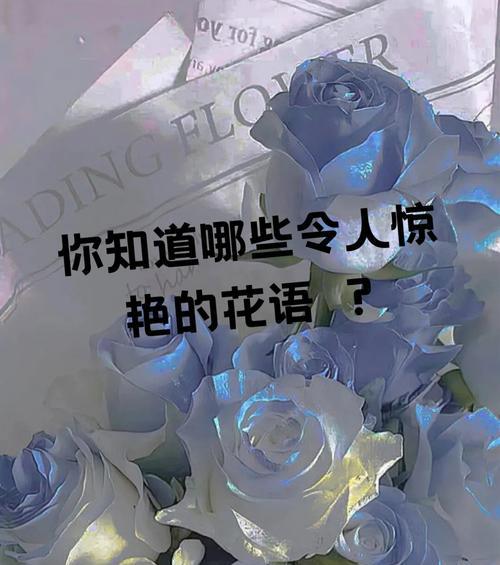 金刚相关的花语有哪些？