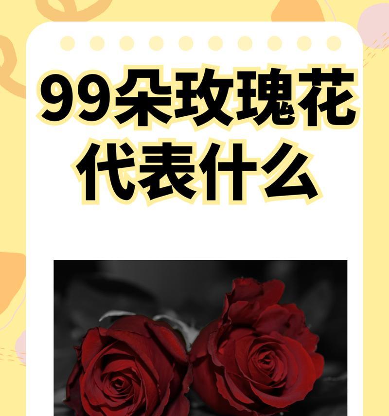 惊喜玫瑰花的花语含义是什么？