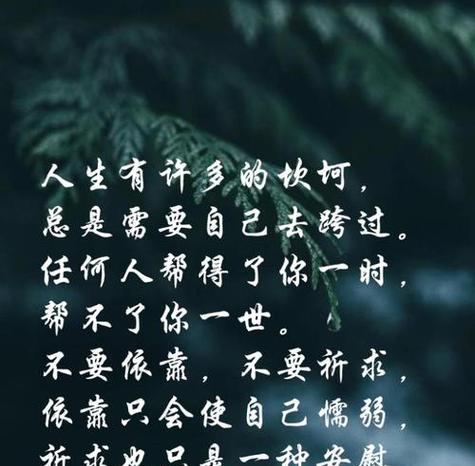 坚强奋进的花语传递了哪些信息？