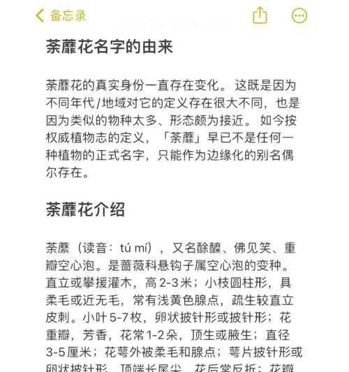 重返未来的花语与哪个生肖相关？重返未来花语的含义是什么？