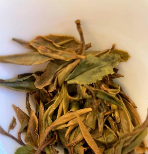 一芽一叶白牡丹花的正确养护方式是什么？