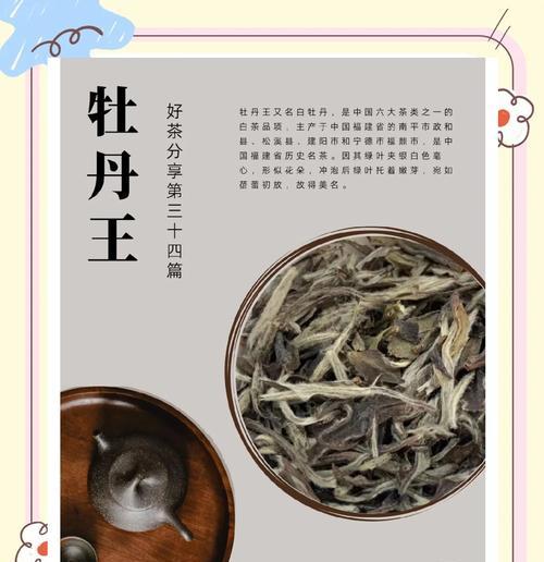 一芽一叶白牡丹花的正确养护方式是什么？