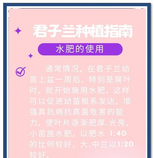 君子兰浇水周期是多久？如何判断其浇水时机？