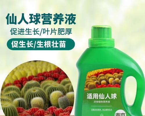 仙人球肥料的选择标准是什么？如何正确施肥？