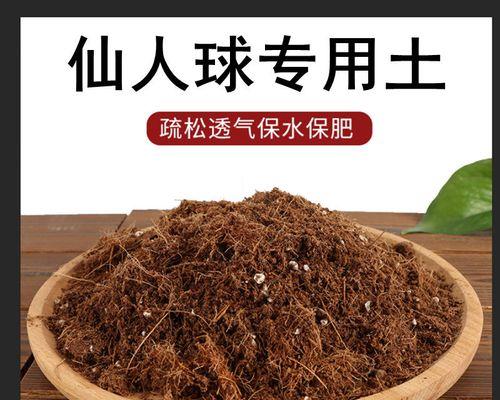 仙人球肥料的选择标准是什么？如何正确施肥？