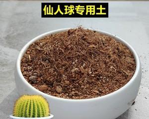 仙人球肥料的选择标准是什么？如何正确施肥？