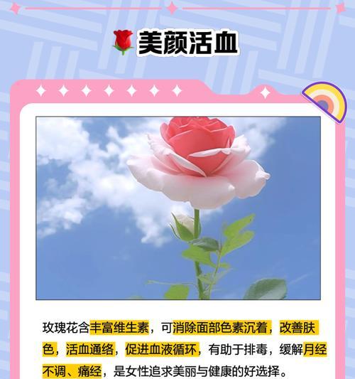 玫瑰花一枝有多少片叶子？如何判断玫瑰花的健康状况？
