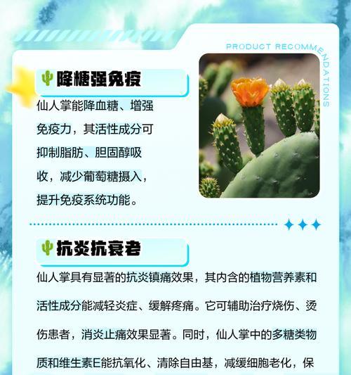 黄瀛子仙人掌的种植步骤是什么？怎样确保成活率？