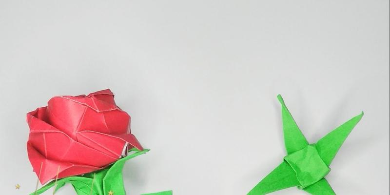 玫瑰花修剪叶子的最佳数量是多少？如何修剪？