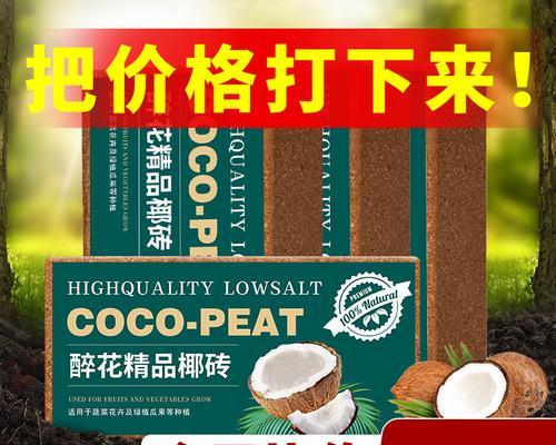 君子兰椰壳砖种植技巧是什么？