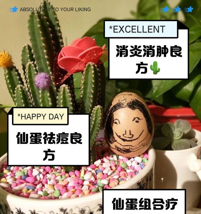 琉璃团扇仙人掌的种植方法是什么？有哪些注意事项？