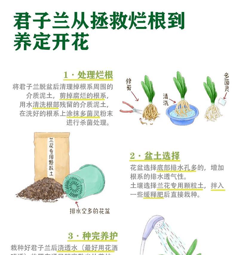 2月份君子兰浇水方法是什么？有何特别注意事项？