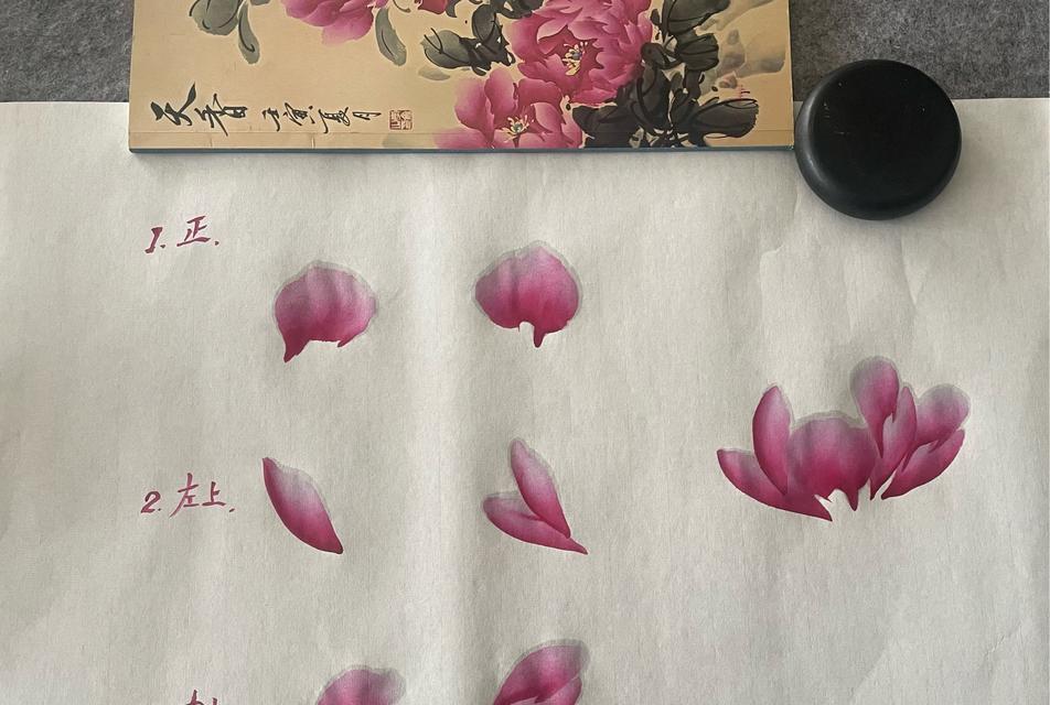 牡丹花如何增加花瓣数量？