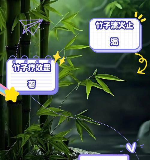 竹子的日常养护有哪些技巧？